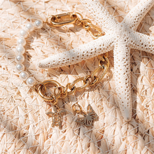 Afbeelding in Gallery-weergave laden, Bedel Turtle - iXXXi Connect