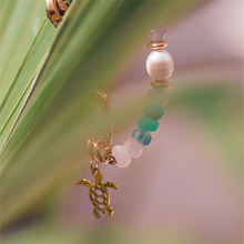 Afbeelding in Gallery-weergave laden, Bedel Turtle - iXXXi Connect