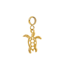 Afbeelding in Gallery-weergave laden, Bedel Turtle - iXXXi Connect