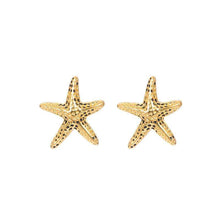 Afbeelding in Gallery-weergave laden, Ear studs sea star - iXXXi - Oorbellen Oorbellen iXXXi Gold AAAndacht