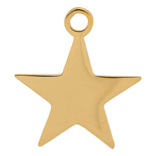 Afbeelding in Gallery-weergave laden, Star Charm iXXXi Goud AAAndacht