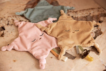 Afbeelding in Gallery-weergave laden, Speendoekje- Little - Star - Biscuit - Jollein