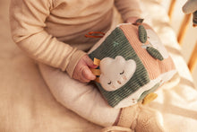 Afbeelding in Gallery-weergave laden, Activiteitenkubus - Lovely - Birds - Jollein