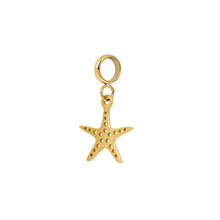 Afbeelding in Gallery-weergave laden, Bedel Ocean star - iXXXi Connect
