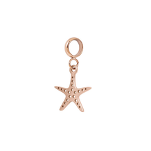 Afbeelding in Gallery-weergave laden, Bedel Ocean star - iXXXi Connect

