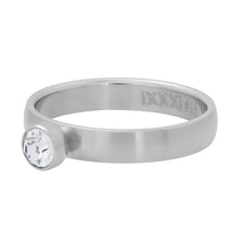 Afbeelding in Gallery-weergave laden, Zirconia 1 stone crystal - iXXXi - Vulring 4 mm MATT Vulring 4mm iXXXi 17 / Matt Silver AAAndacht
