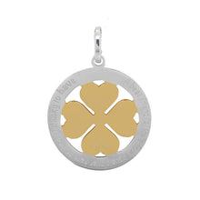 Afbeelding in Gallery-weergave laden, A best friend ... - iXXXi - Hanger 38 mm Pendant iXXXi Zilver-Goud AAAndacht
