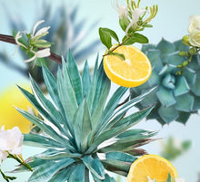 Afbeelding in Gallery-weergave laden, Agaves Garden - Maison Berger - Navulling Geurstokjes - 200 ml
