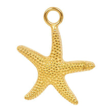 Afbeelding in Gallery-weergave laden, Charm sea star - iXXXi - Necklaces Necklaces iXXXi Gold AAAndacht