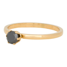 Afbeelding in Gallery-weergave laden, Crown Black Diamond - iXXXi - Vulring 2mm Vulring 2mm iXXXi 21 / Gold AAAndacht
