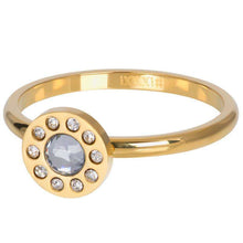 Afbeelding in Gallery-weergave laden, Diamond Circle Vulring 2mm iXXXi AAAndacht
