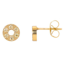 Afbeelding in Gallery-weergave laden, Ear studs Circle stone 6mm Oorbellen iXXXi Gold AAAndacht
