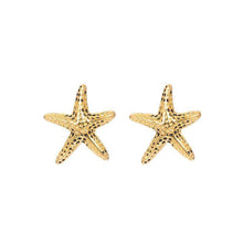 Afbeelding in Gallery-weergave laden, Ear studs sea star - iXXXi - Oorbellen Oorbellen iXXXi Gold AAAndacht
