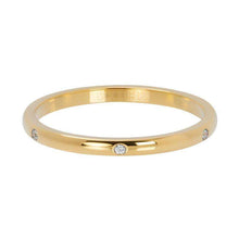 Afbeelding in Gallery-weergave laden, Elegance - iXXXi - Vulring 2 mm Vulring 2mm iXXXi 17 / Gold AAAndacht
