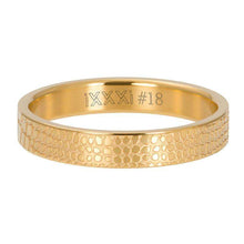 Afbeelding in Gallery-weergave laden, Giraffe - iXXXi - Vulring 4 mm Vulring 4mm iXXXi 17 / Gold AAAndacht
