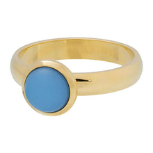 Afbeelding in Gallery-weergave laden, Matt Violet - iXXXi - Vulring 4 mm Vulring 4mm iXXXi 17 / Gold AAAndacht
