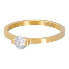 Afbeelding in Gallery-weergave laden, Mini Glamour Stone - iXXXi - Vulring 2mm Vulring 2mm iXXXi 17 / Gold AAAndacht
