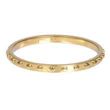 Afbeelding in Gallery-weergave laden, Opera - iXXXi - Vulring 2 mm Vulring 2mm iXXXi Goud / 15 AAAndacht
