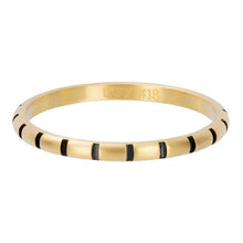 Afbeelding in Gallery-weergave laden, Stripes - iXXXi - Vulring 2 mm Vulring 2mm iXXXi 17 / Matt gold fill in black AAAndacht
