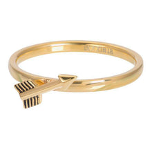 Afbeelding in Gallery-weergave laden, Symbol Arrow - iXXXi - Vulring 2mm Vulring 2mm iXXXi 17 / Gold AAAndacht

