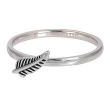 Afbeelding in Gallery-weergave laden, Symbol Feather - iXXXi - Vulring 2mm Vulring 2mm iXXXi 17 / Zilver AAAndacht
