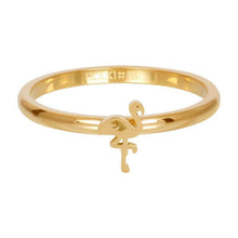Afbeelding in Gallery-weergave laden, Symbol flamingo - iXXXi - Vulring 2 mm Vulring 2mm iXXXi 17 / Gold AAAndacht
