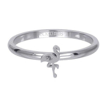Afbeelding in Gallery-weergave laden, Symbol flamingo - iXXXi - Vulring 2 mm Vulring 2mm iXXXi 17 / Silver AAAndacht
