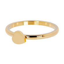 Afbeelding in Gallery-weergave laden, Symbol heart - iXXXi - Vulring 2 mm Vulring 2mm iXXXi 17 / Gold AAAndacht
