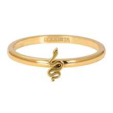 Afbeelding in Gallery-weergave laden, Symbol snake - iXXXi - Vulring 2mm Vulring 2mm iXXXi 17 / Gold AAAndacht
