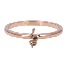 Afbeelding in Gallery-weergave laden, Symbol snake - iXXXi - Vulring 2mm Vulring 2mm iXXXi 17 / Rosé AAAndacht
